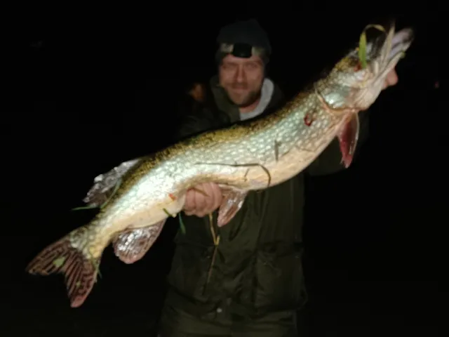 Hecht