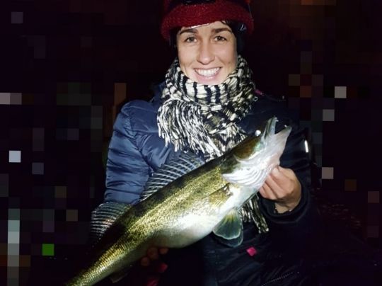 Zander