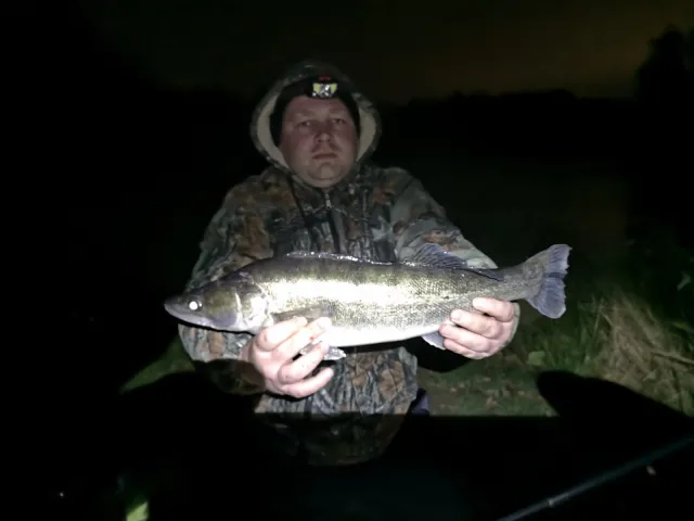 Zander