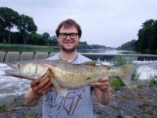 Zander
