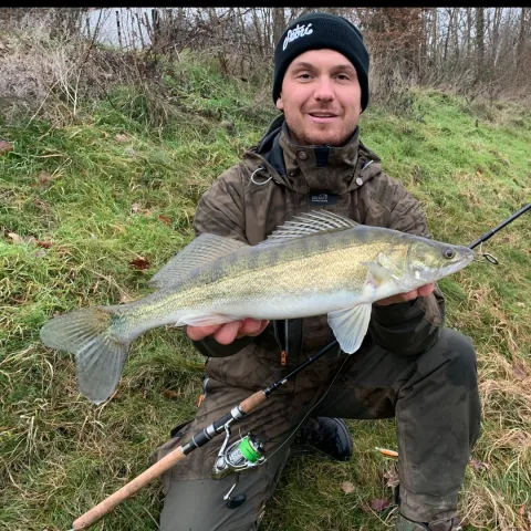 Zander