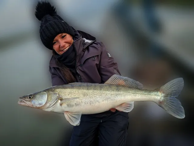 Zander