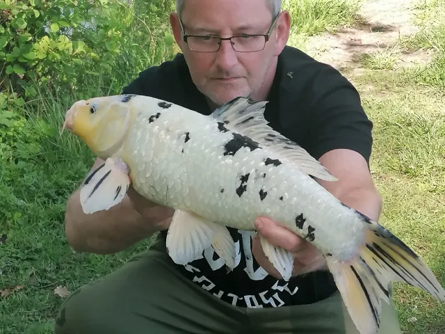 Karpfen