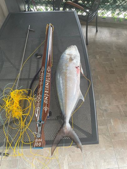Amberjack-0