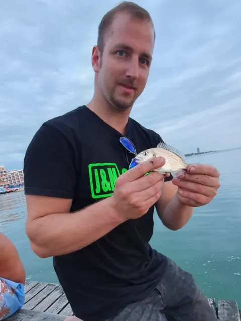 Dorade