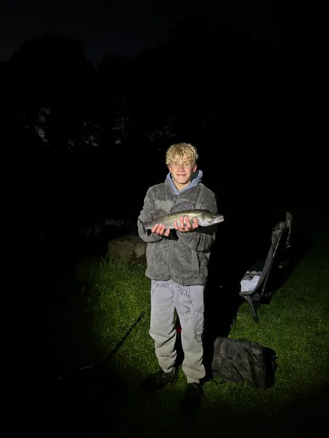 Zander