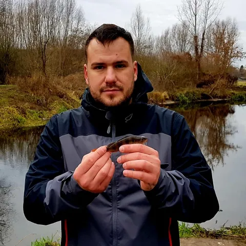 Flussbarsch