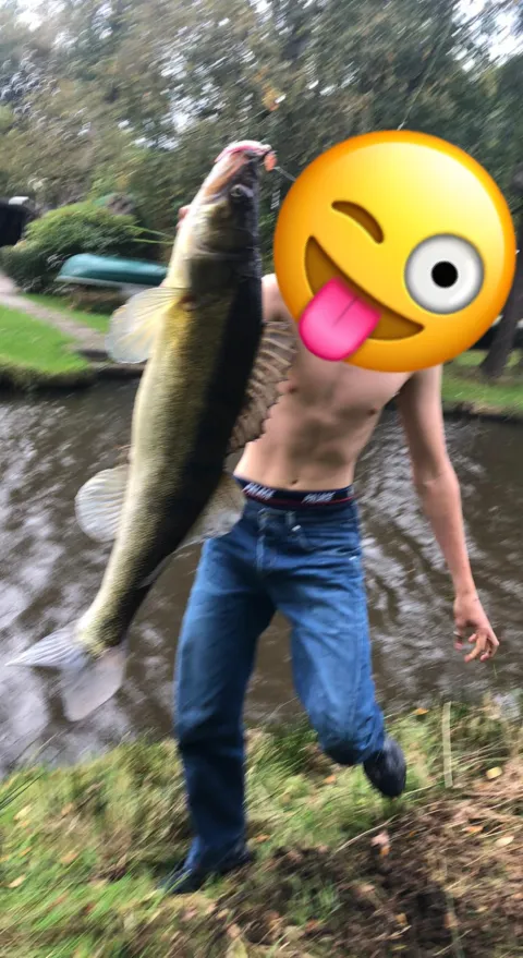 Zander