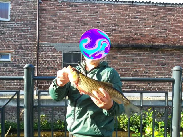 Döbel