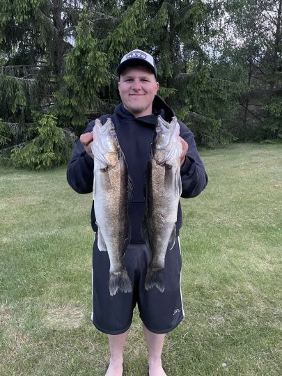 Zander