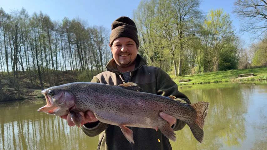 Regenbogenforelle