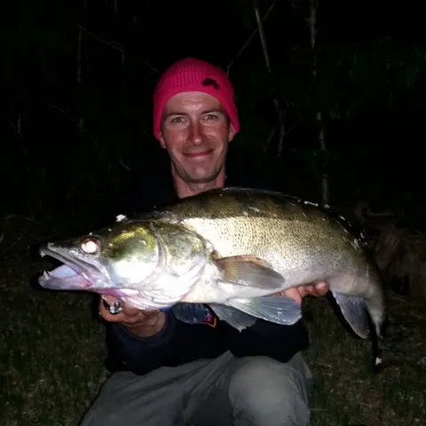 Zander