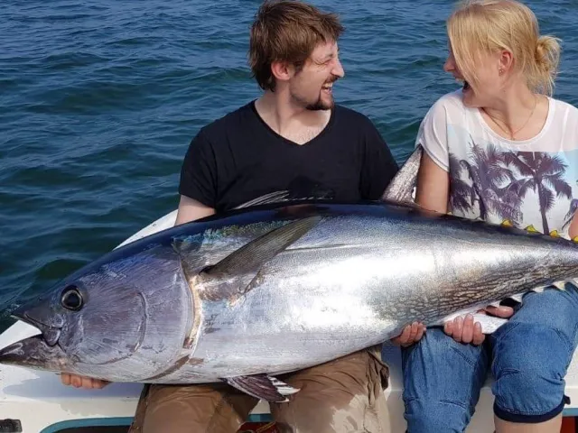 Thunfisch