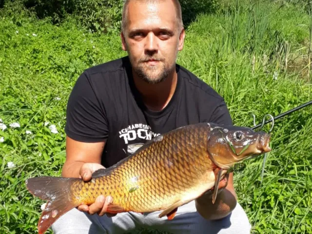 Karpfen