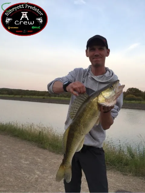 Zander
