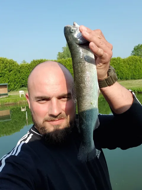 Regenbogenforelle