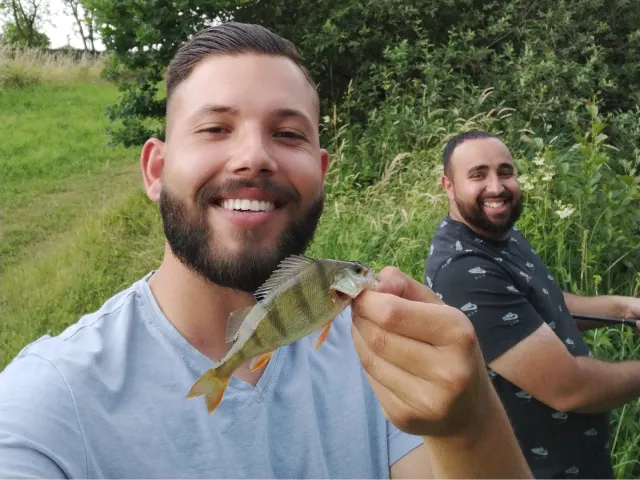 Flussbarsch