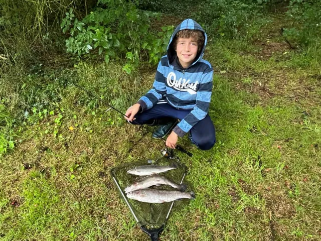 Regenbogenforelle