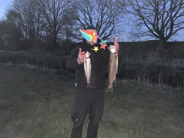 Regenbogenforelle