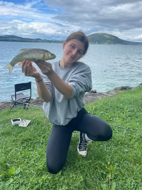 Döbel