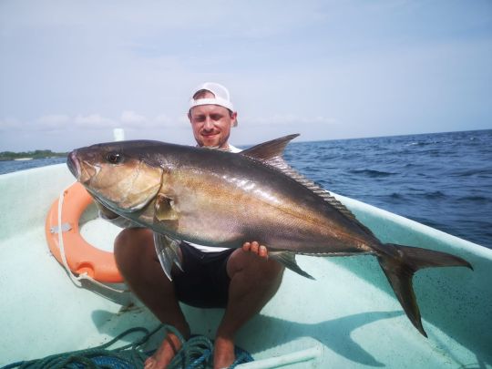 Amberjack