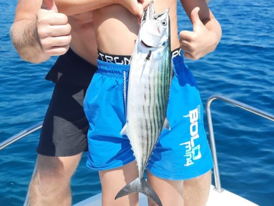 Bonito