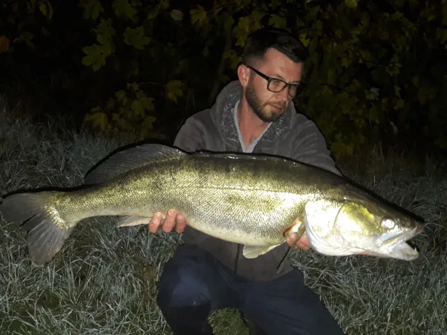 Zander