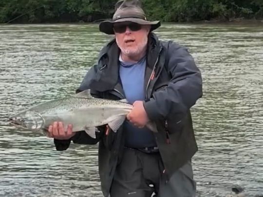 Lachs-2