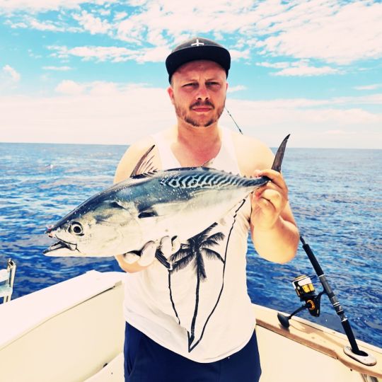 Bonito