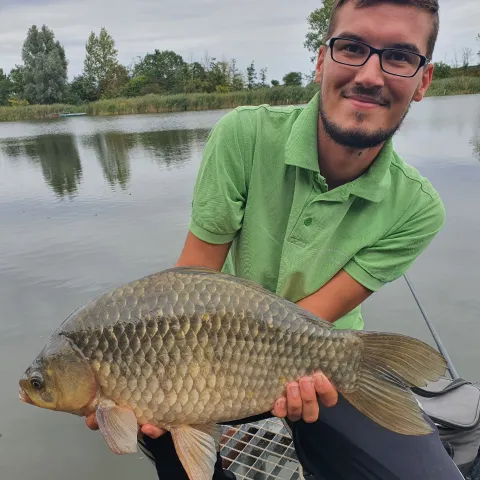 Giebel