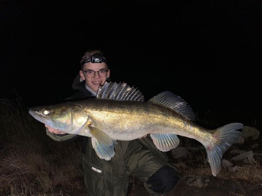 Zander