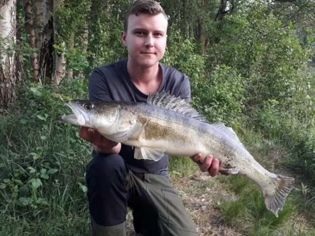 Zander