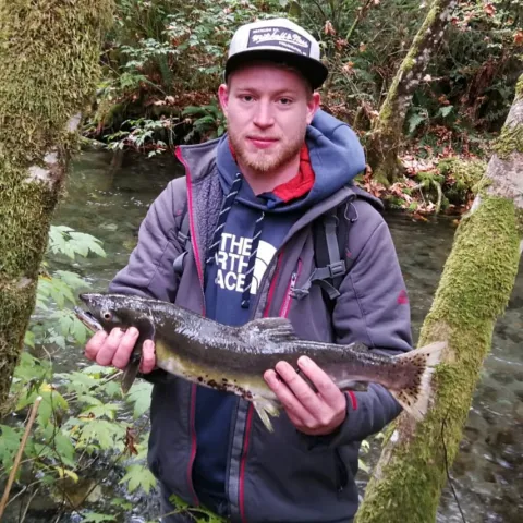 Lachs