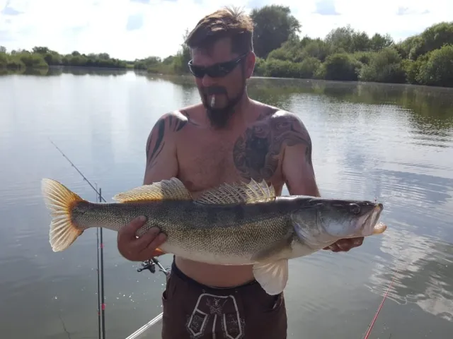 Zander