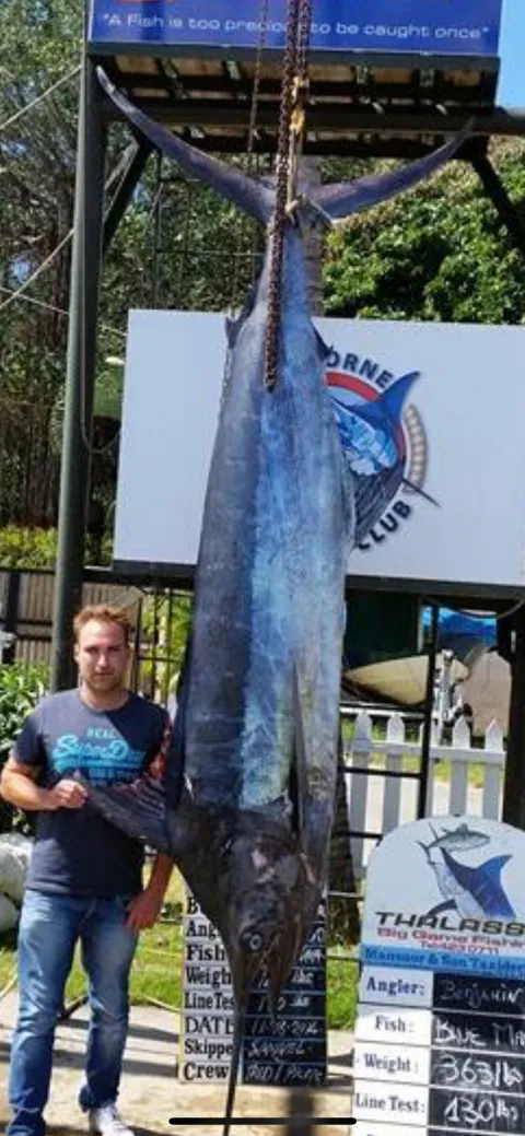 Marlin