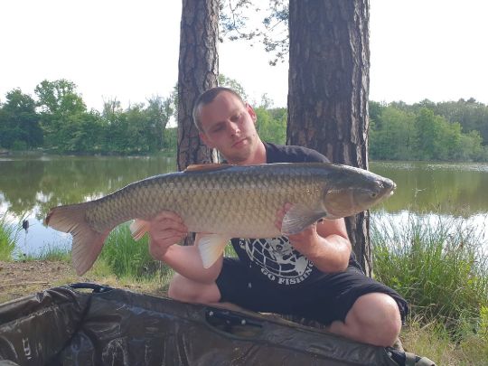 Graskarpfen