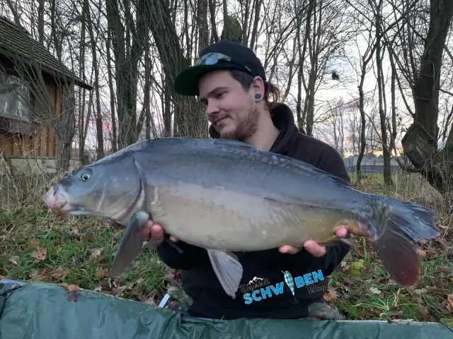 Karpfen