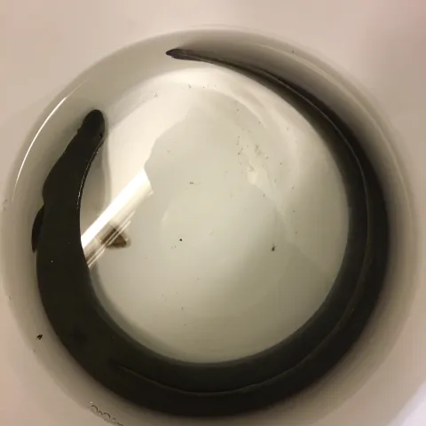 Aal