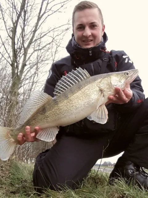 Zander