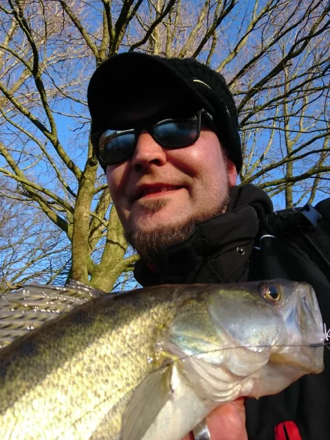 Zander
