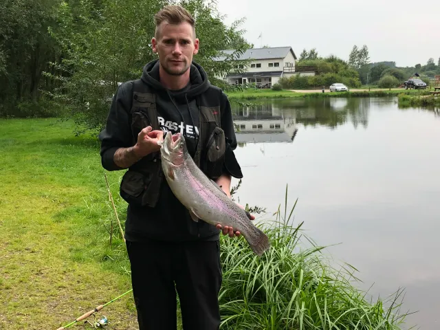 Regenbogenforelle