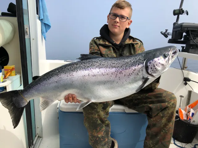 Lachs