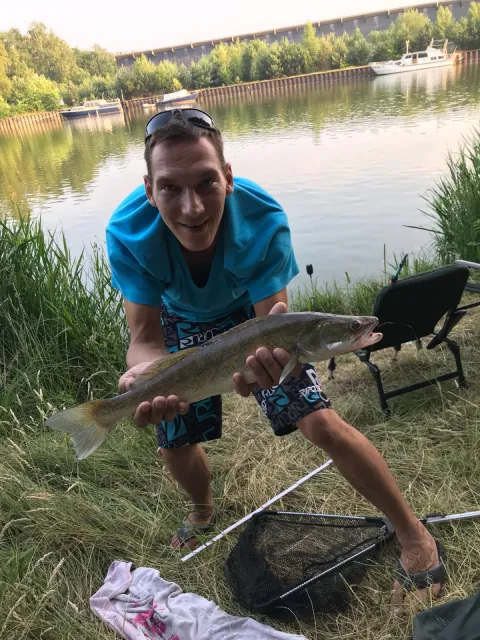 Zander