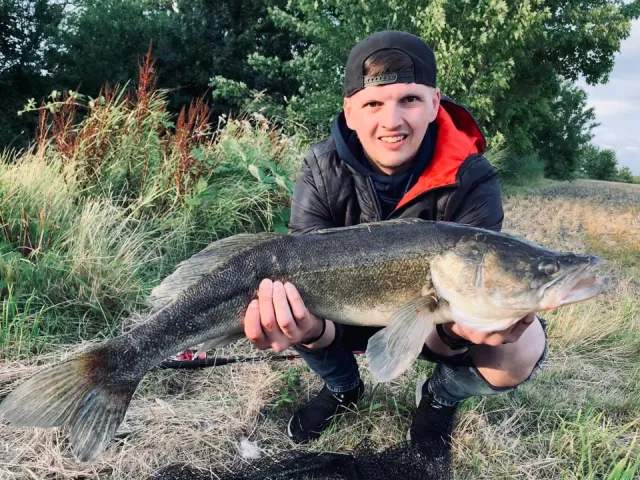 Zander