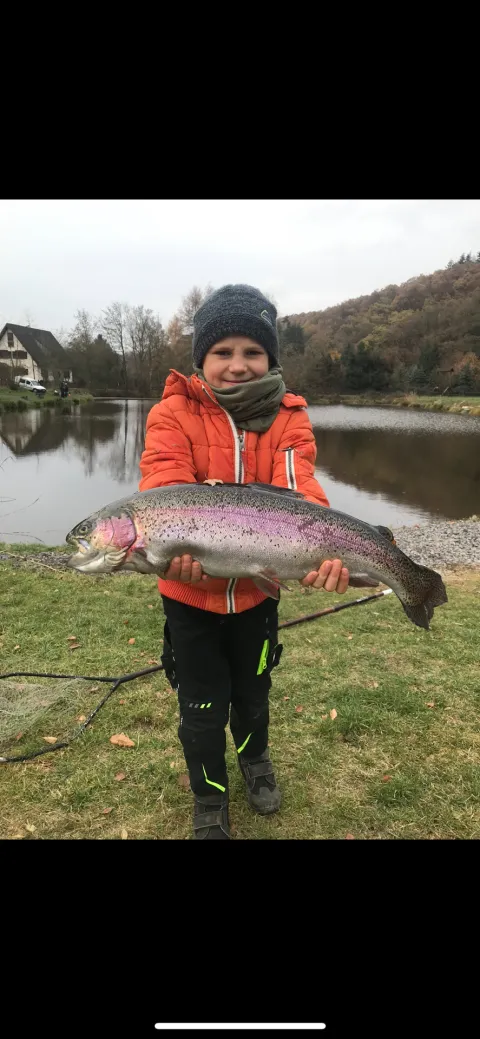 Regenbogenforelle