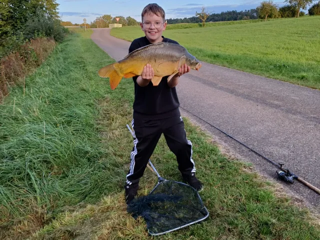 Karpfen