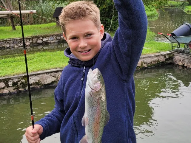 Regenbogenforelle