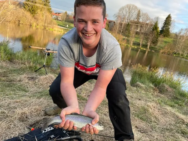 Regenbogenforelle