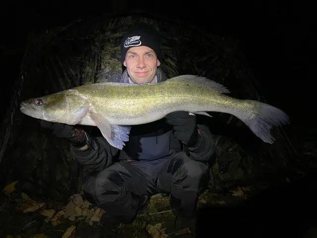 Zander