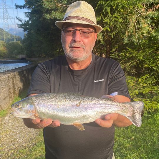Regenbogenforelle